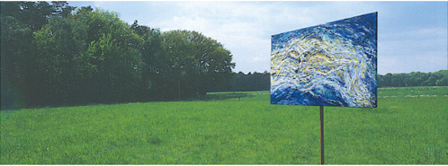 Installation im Naturraum mit Hubert Baumann: bild-natur-raum, 1996